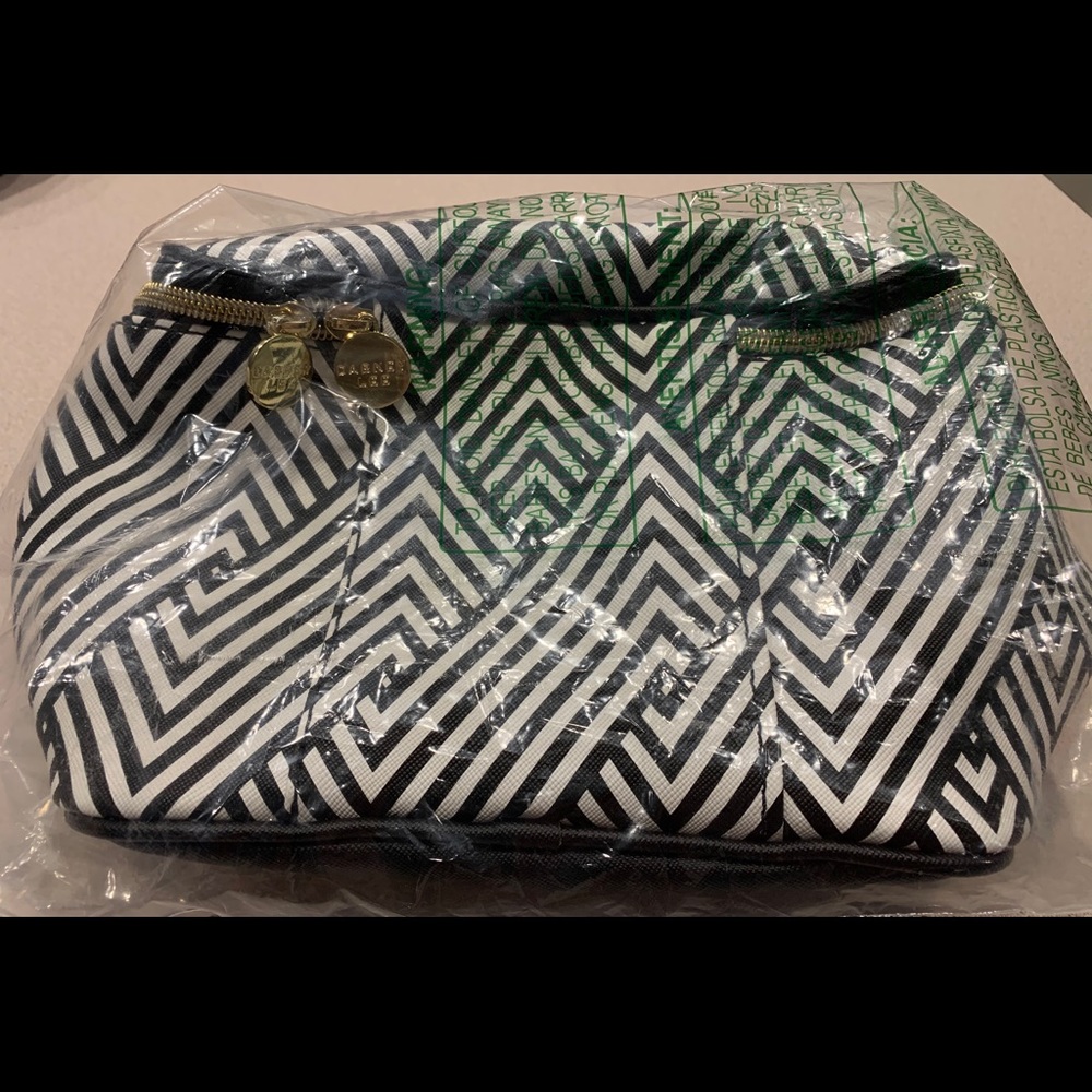 DABNEY LEE BRAND NEW CHEVRON PATTERN MAKE UP BAG - Picture 5 of 5